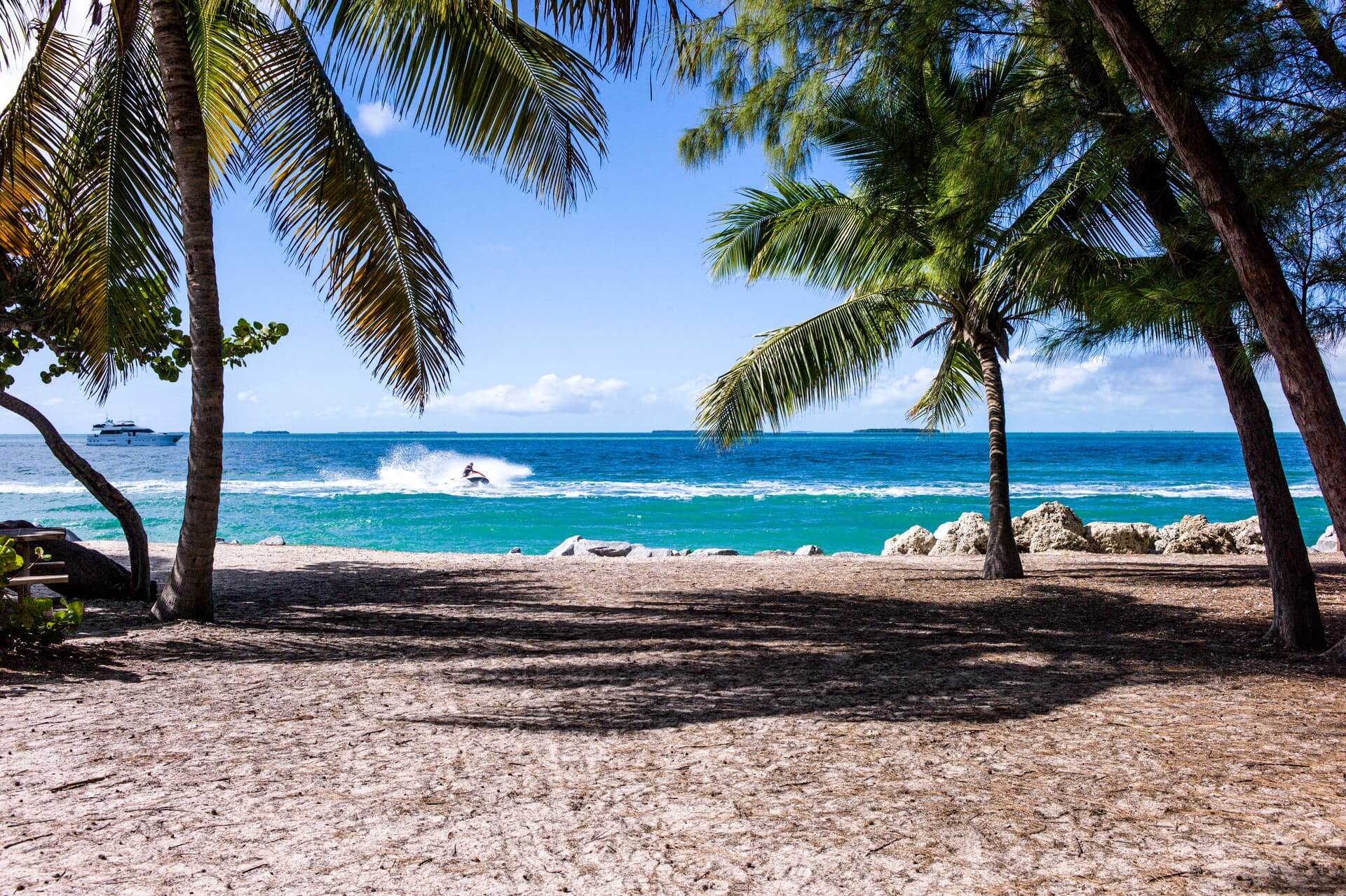 Boat framed by palm trees on a beach